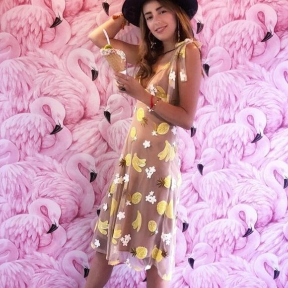 For Love And Lemons Dresses & Skirts - NWT For Love & Lemons Fruit Punch Midi Dress